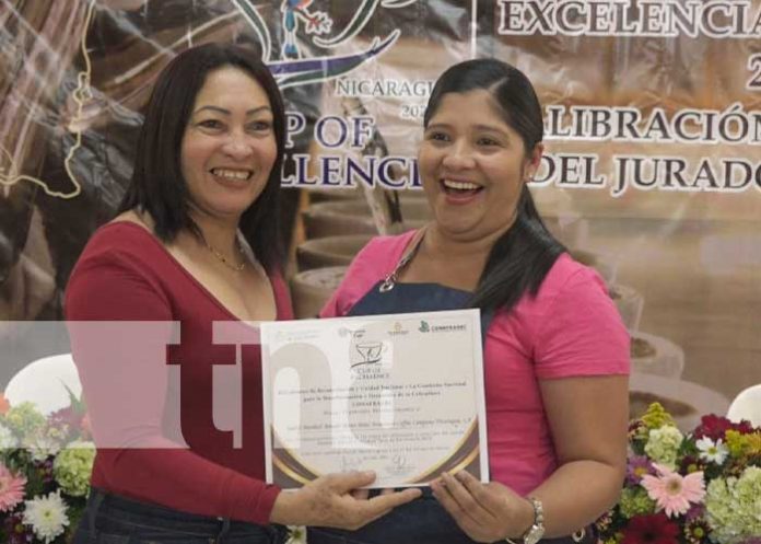 Foto: Calibración y Selección de Jurado Nacional Taza de Excelencia Nicaragua 2024 / TN8