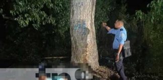 Foto: Trágico accidente en Chinandega: Motociclista fallece tras estrellarse contra un árbol/TN8