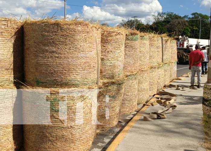Foto: Rastra cargada de alimento para ganado da vueltas en plena rotonda de Monimbó / TN8