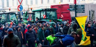 Foto: Protestas agrícolas en Europa /cortesía