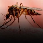 Nicaragua presenta menos contagios en Dengue, Neumonía y Leptospirosis