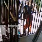 Foto:Video: Sujeto es captado al robar en una vivienda en Juigalpa/TN8