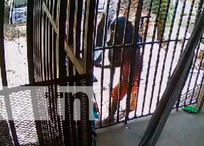 Foto:Video: Sujeto es captado al robar en una vivienda en Juigalpa/TN8