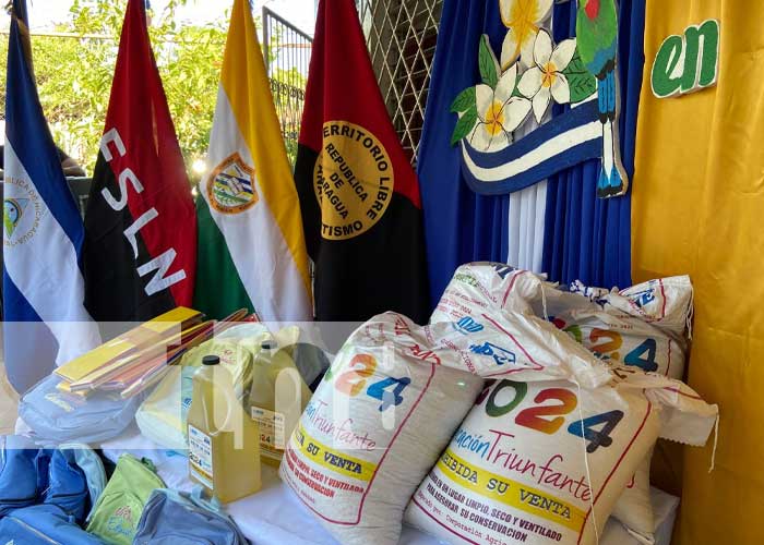 Foto: Inician las clases en la modalidad a distancia en el campo de Chinandega /Tn8