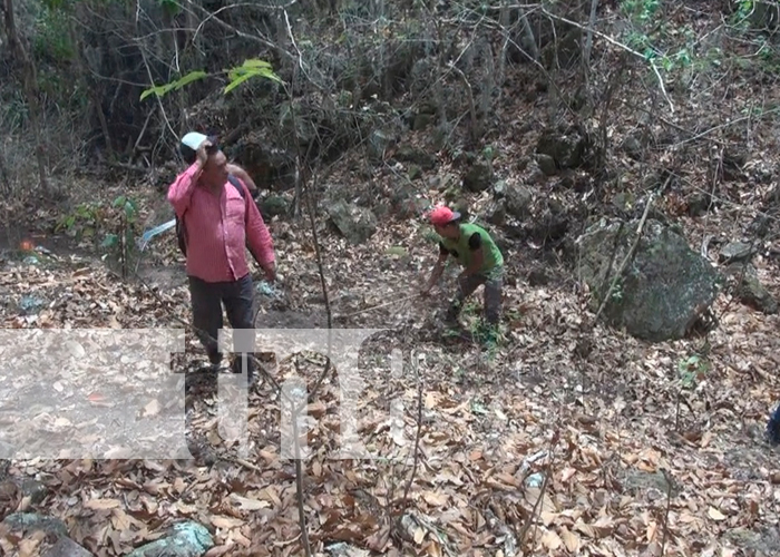 Foto: Estelí fortalece la protección forestal con lanzamiento del plan prevención de incendios/TN8