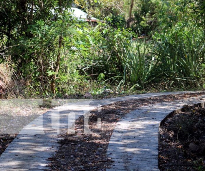 Foto: Nuevos caminos rurales para el desarrollo de Somoto / TN8