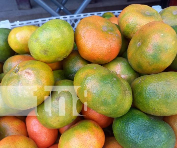 Foto: Frutas frescas desde Ticuantepe / TN8