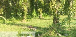 Foto: Mortal accidente de tránsito en Kukra Hill, Caribe Sur de Nicaragua / TN8