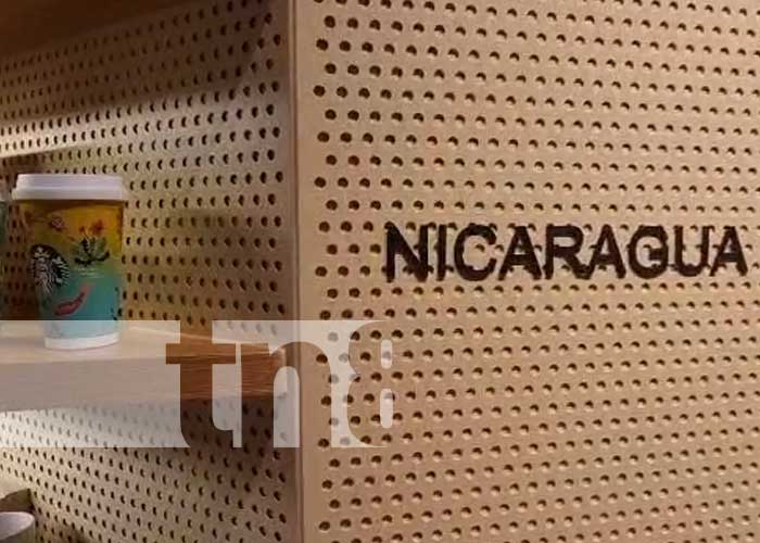 Foto: Café de Nicaragua, destacado en Starbucks de China / TN8
