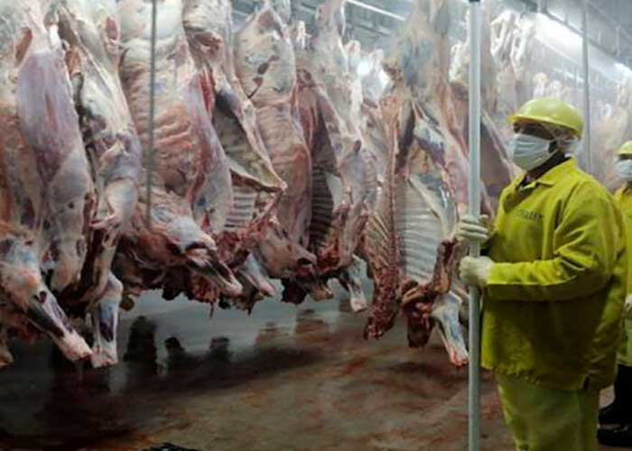 Foto: Retiran lote de carnes defectuosas de supermercados en Nicaragua