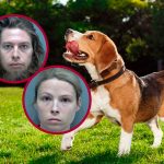 Arrestan a mujer por tener relaciones con su perro