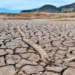 La peor sequía del siglo en España