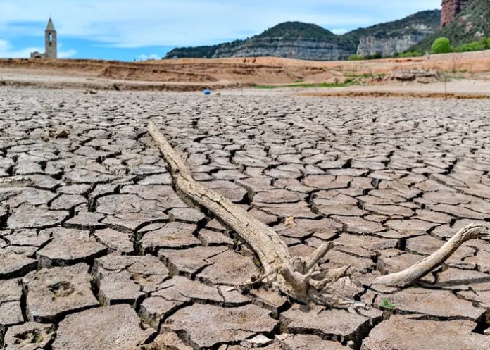 La peor sequía del siglo en España
