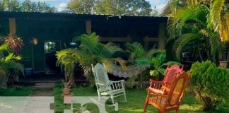 Foto: Hoteles y hostales para disfrutar en la Isla de Ometepe / TN8