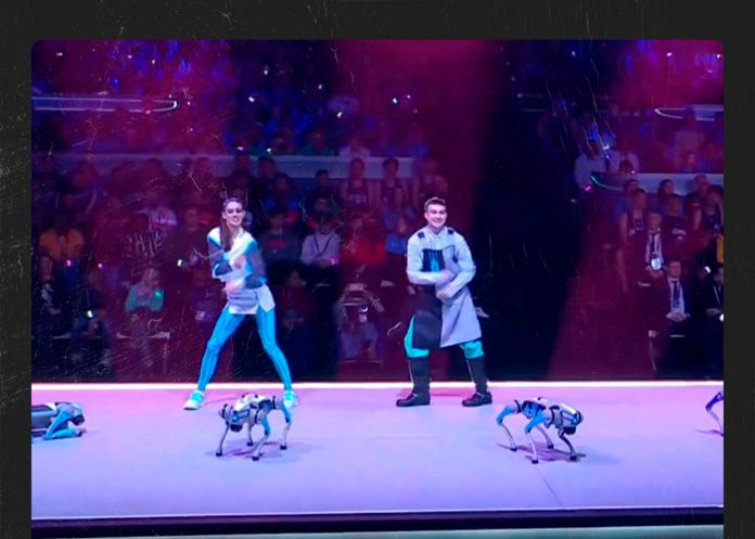 Espectáculo de perros robot en Juegos del Futuro de Rusia