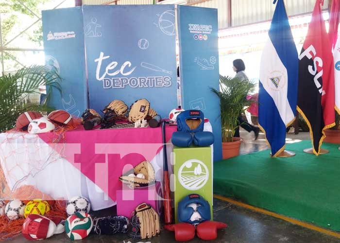 Foto: Juegos TEC 2024 / TN8
