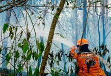 Más de 1.200 hectáreas consumidas por ola de fuego en Colombia
