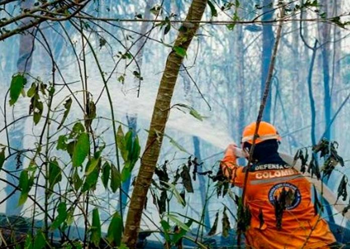 Más de 1.200 hectáreas consumidas por ola de fuego en Colombia