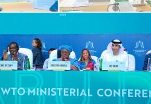Foto: Desarrollan reunión de temas de Agricultura , Subvenciones a la Pesca y Comercio electrónico en Abu Dhabi / Cortesía