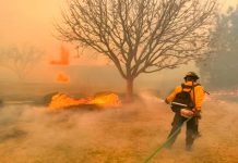 Foto: Voraz incendio en Estados Unidos Texas /cortesía