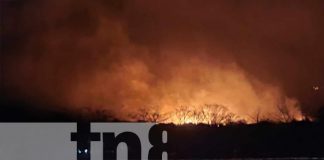 Llamas amenazan la biodiversidad: Incendio forestal en Moyogalpa, Ometepe