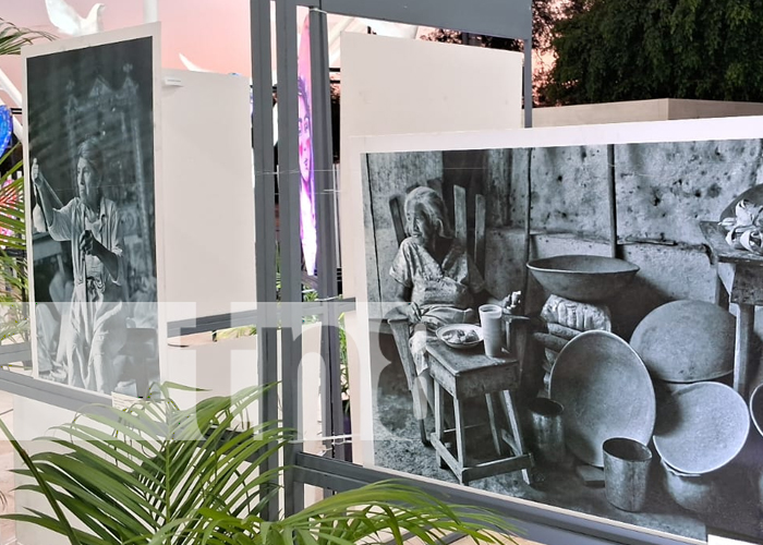 Foto: Nicaragua Diseña realiza pasarela y exposición fotográfica en honor al día de la mujer/TN8