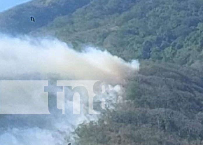 Foto: ¡Alerta! Otro incendio forestal en la Isla de Ometepe en menos de una semana/TN8