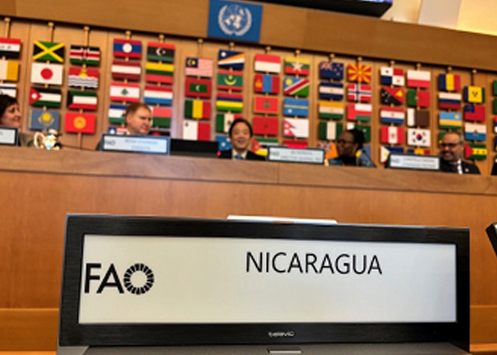 Nicaragua participa en el cuarto conferencia global del Foro Mundial Bananero