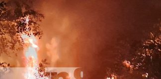 Foto: Incendio catastrófico arrasa con una recicladora en el municipio de Tipitapa/TN8