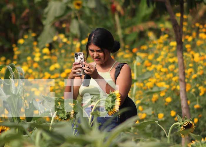 Foto: Descubre el paraíso floral de Heliconias en Catarina: ¡Un tour creativo te espera!/TN8