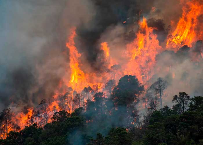 Foto:Más de 1.200 hectáreas consumidas por ola de fuego en Colombia/Cortesía