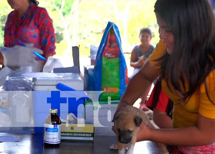 Sistema Penitenciario de Matagalpa realiza primer feria canina