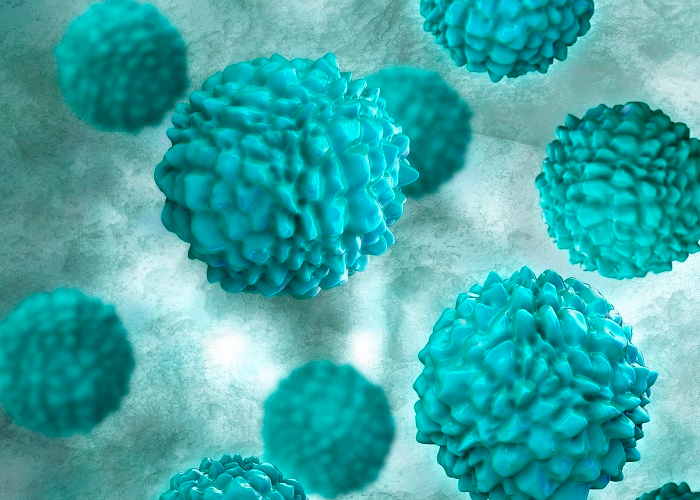 Foto: Brotes de norovirus en aumento /cortesía