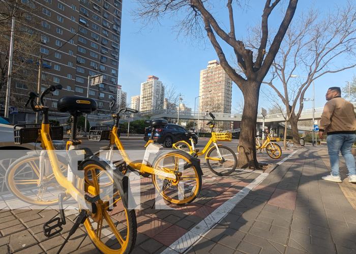 Foto: Beijing, la vibración cultural y tecnológica que no te deja de sorprender/TN8