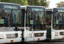 Foto: Buses Yutong, de China, han sido una bendición para el transporte en Nicaragua / TN8