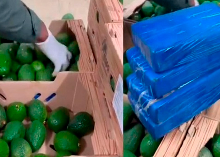 Encuentran aguacates con cocaína en Colombia