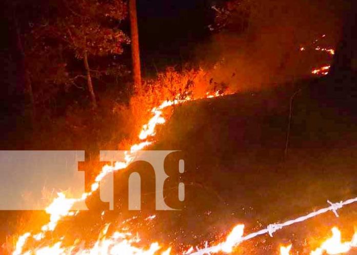 Foto: Incendio forestal en comunidades de Ciudad Antigua, Nueva Segovia / TN8