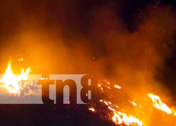 Foto: Incendio forestal en comunidades de Ciudad Antigua, Nueva Segovia / TN8