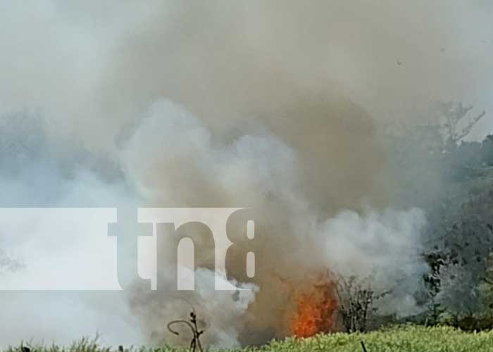Foto: Incendio forestal cerca del centro turístico de Granada / TN8