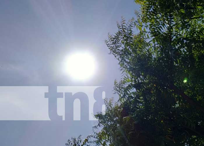Foto: INETER brinda reporte del clima en Nicaragua / TN8