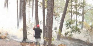 Foto: Incendio forestal en reserva Tomabú de Estelí / TN8