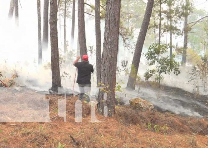 Foto: Incendio forestal en reserva Tomabú de Estelí / TN8