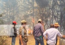 Foto: Brigadas logran controlar incendio forestal en zona fronteriza de Somoto en Madriz/TN8