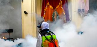 Foto: Dengue azota Guatemala /cortesía