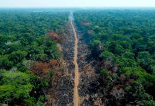 Foto: Brasil invierte en la Amazonia /cortesía