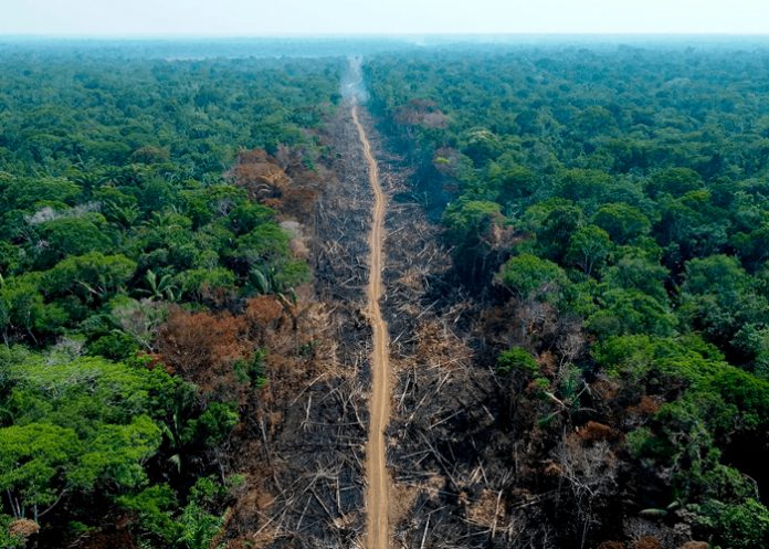 Foto: Brasil invierte en la Amazonia /cortesía