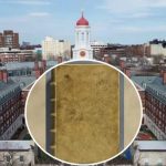 Harvard elimina de su biblioteca libro forrado con piel de una mujer