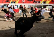 Terribles fracturas le provocó un toro en Costa Rica
