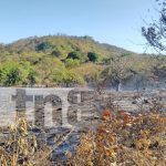 Productores negligentes aparentemente causan incendio devastador en Ometepe