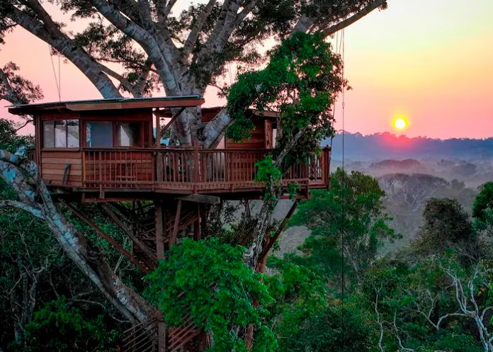 Foto: ¿Vivirías aquí? Así es la casa perfecta en el Amazonas / Cortesía